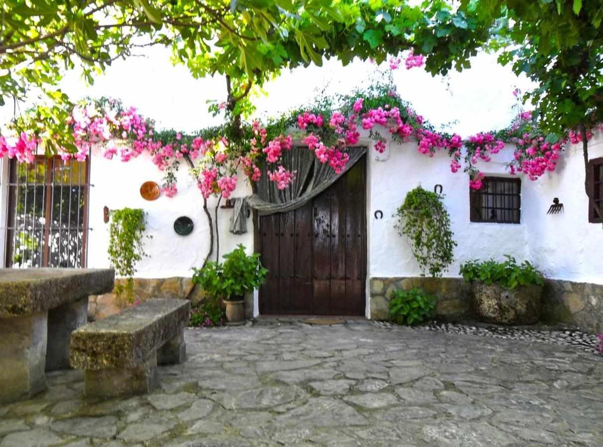 Cortijo La Gineta Pension Alcalá la Real Buitenkant foto