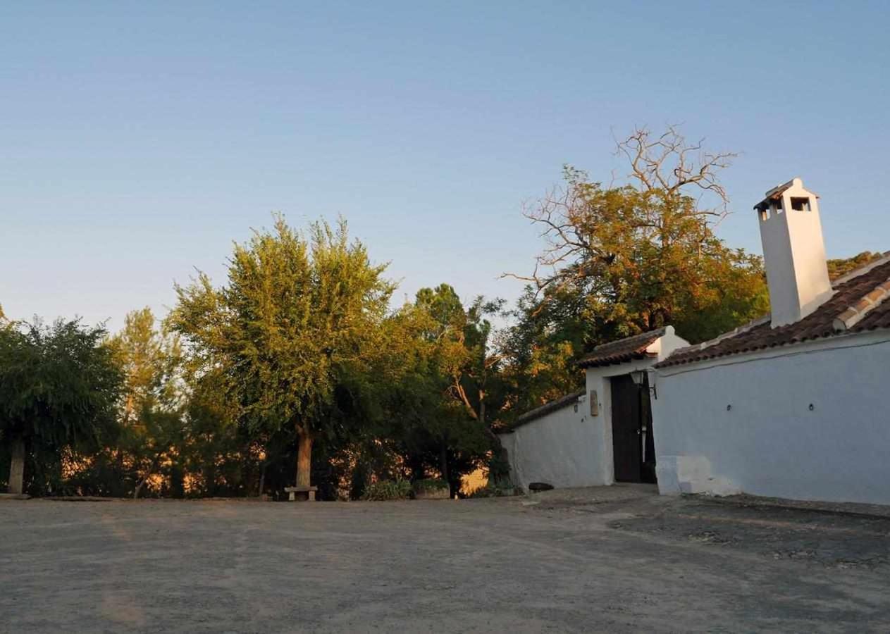 Cortijo La Gineta Pension Alcalá la Real Buitenkant foto