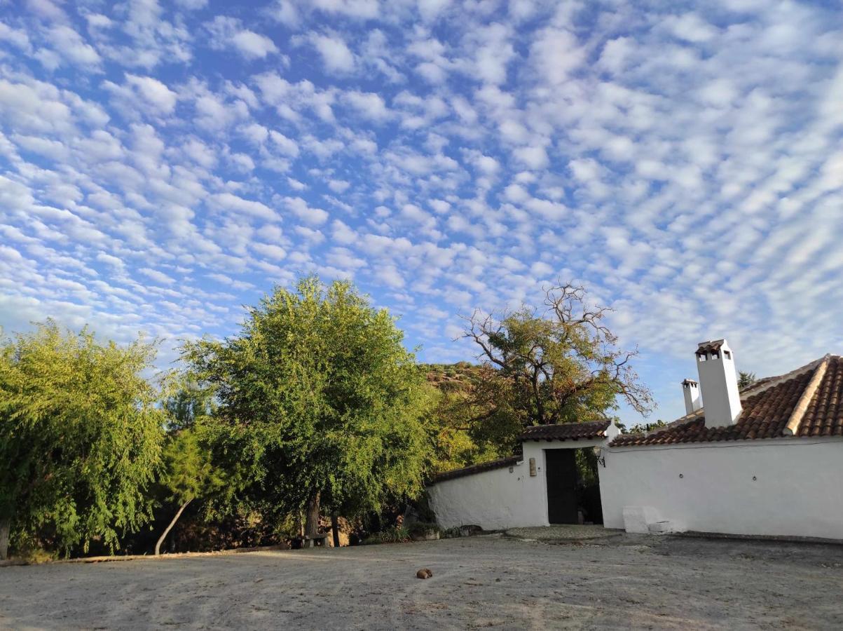 Cortijo La Gineta Pension Alcalá la Real Buitenkant foto
